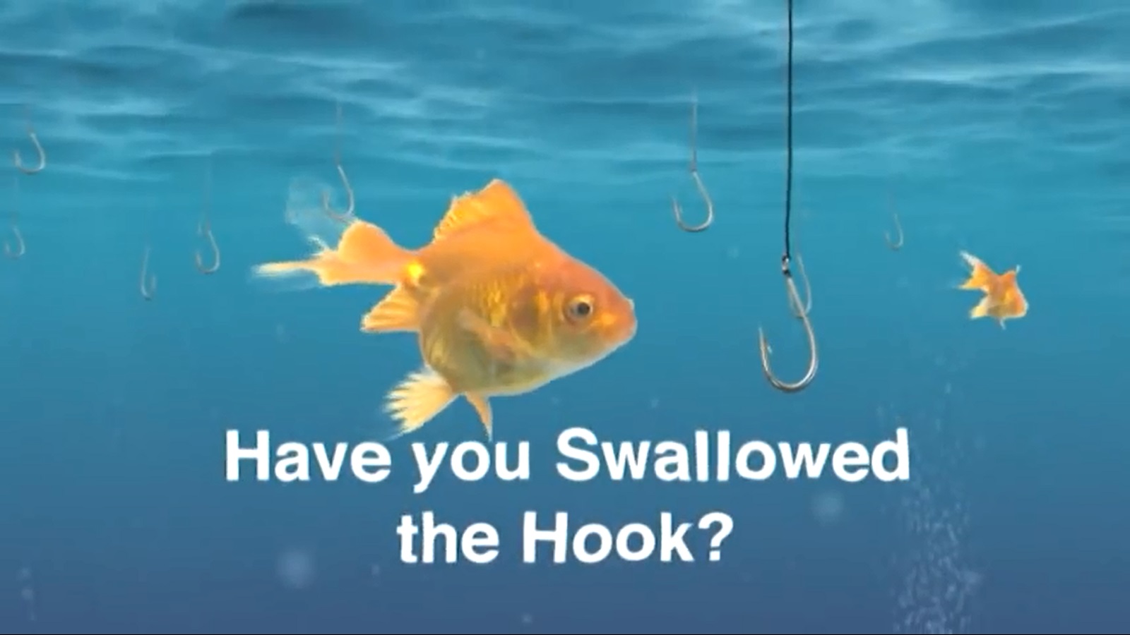 Have You Swallowed The Hook?